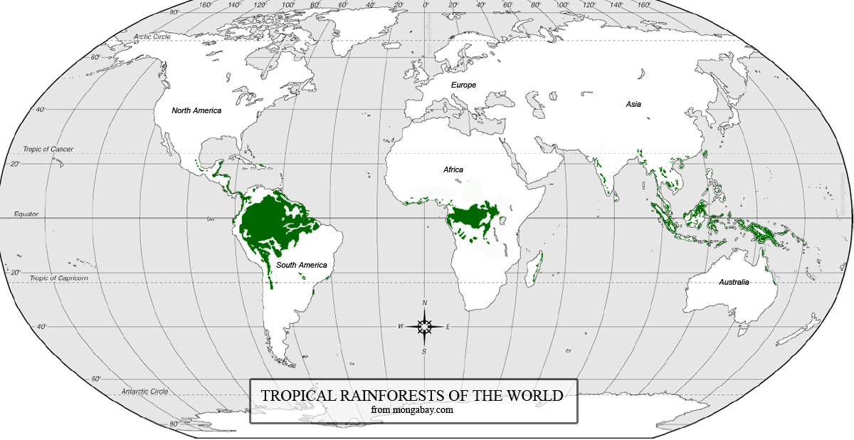 Location of rainforests 